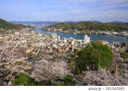 【広島県】桜が満開の千光寺から見た尾道の町並み 101542081