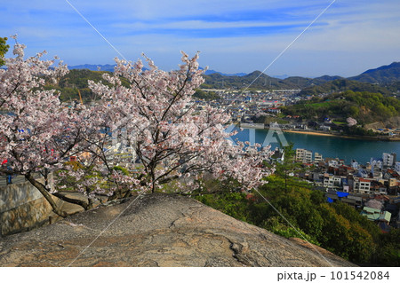 【広島県】千光寺の鼓岩から見た尾道の町並み 101542084