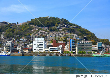 【広島県】向島から見た桜が満開の千光寺公園（尾道） 101542106