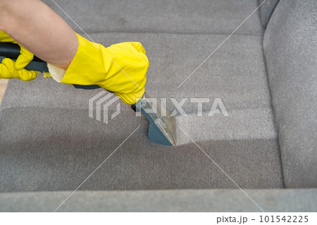 Textile sofa chemical cleaning with professionally extraction method. Upholstered furniture. 101542225