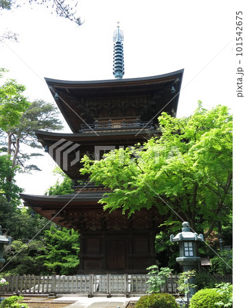 世田谷区の豪徳寺にある三重塔 世田谷区の豪徳寺にある三重塔 101542675