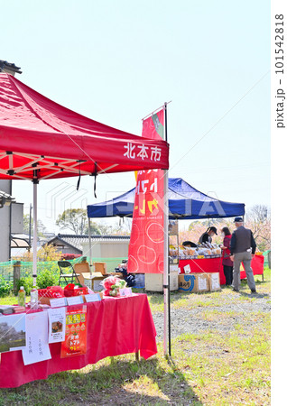 石戸蒲ザクラ　新型コロナウィルス後初のさくら祭り　2023年春　埼玉県北本市 101542818