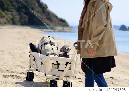 トイプードルを連れて女子キャンプ　青い海・美しいビーチでのんびり島キャンプ　キャンプ料理を楽しむ女性 101543203