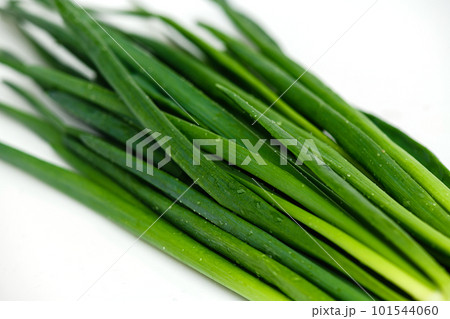 Green onion with water drops on a white background. 101544060