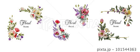 Floral frame set collection with poppies and lavender flowers, elegant watercolor decorations 101544363