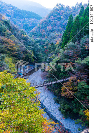 あやとり橋から観えるしゃくなげ橋と山並み　樅木の吊橋（もみぎのつりばし）／五家荘(熊本県八代市泉町) 101544607