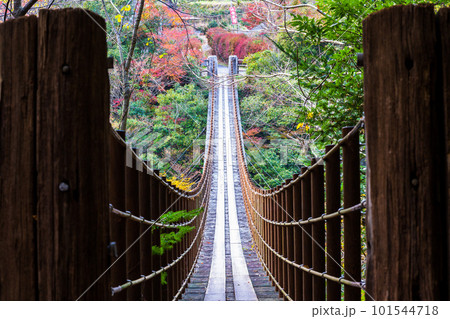 紅葉に映える あやとり橋風景 樅木の吊橋(もみぎのつりばし)/五家荘(熊本県八代市泉町) 紅葉に映える あやとり橋風景 樅木の吊橋(もみぎのつりばし)/五家荘(熊本県八代市泉町) 101544718