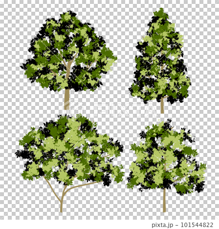 Illustration of tree - Stock Illustration [101544822] - PIXTA