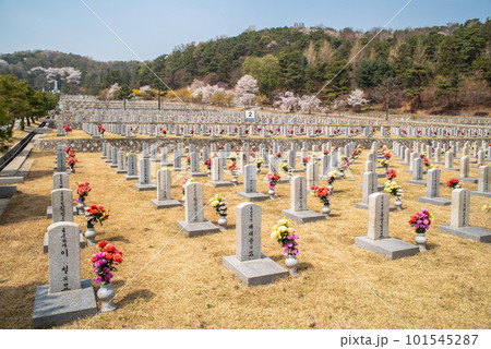 Seoul National Cemetery of Korean veterans in Seoul South Korea 101545287