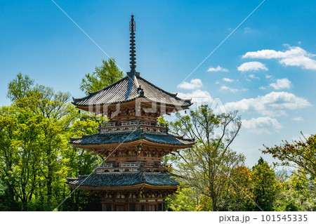京都府大山崎町の宝積寺　三重塔（重要文化財） 101545335