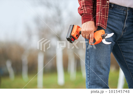 Close up of gardener walking with pruner in hand. Male wearing blue jeans, working in orchard, taking care of plants in spring, whitewashing, cutting. Concept of handwork. 101545748