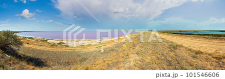 Pink salty Syvash Lake and blue fresh lake by the dam, Ukraine 101546606