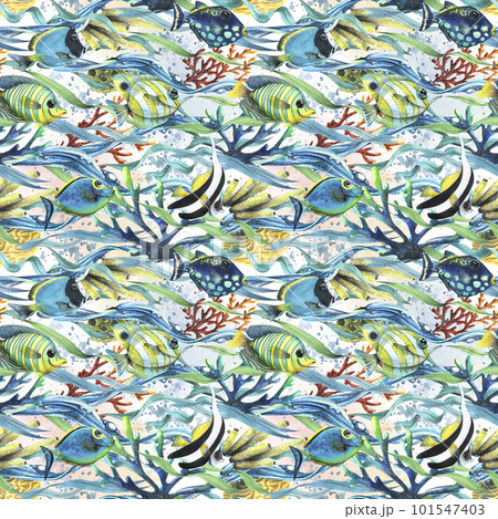 Coral reefs with algae, waves of water, fish, sea sponges, bubbles. Watercolor illustration. Seamless pattern on a white background from the collection of TROPICAL FISH. For fabric wallpaper textiles Coral reefs with algae, waves of water, fish, sea sponges, bubbles. Watercolor illustration. Seamless pattern on a white background from the collection of TROPICAL FISH. For fabric wallpaper textiles 101547403