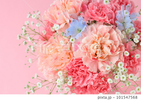 ピンクのカーネーションの花束 101547568