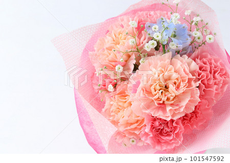 ピンクのカーネーションの花束 ピンクのカーネーションの花束 101547592