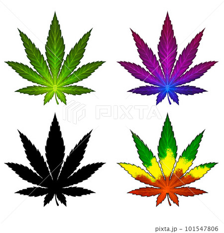 Set of multi-colored leaves of marijuana purple rare variety. Cannabis leaf illustration realism isolate. Healing herb for relaxation. Set of multi-colored leaves of marijuana purple rare variety. Cannabis leaf illustration realism isolate. Healing herb for relaxation. 101547806