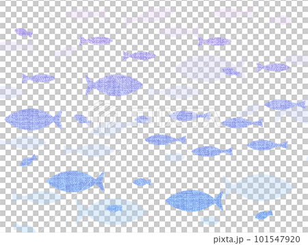 泳ぐ魚の群れ 泳ぐ魚の群れ 101547920