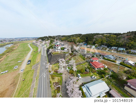 涌谷城の満開の桜 空撮 涌谷城の満開の桜 空撮 101548019