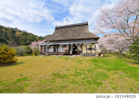 旧永島家住宅 春(京都府宮津市) 旧永島家住宅 春(京都府宮津市) 101548029