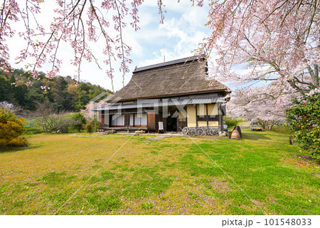 旧永島家住宅　春（京都府宮津市） 101548033