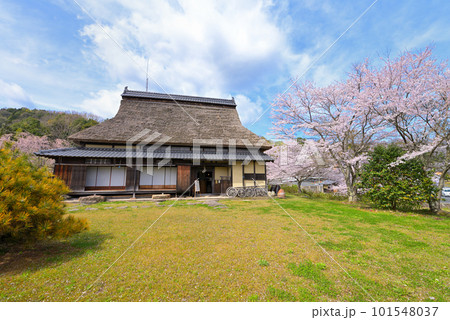 旧永島家住宅 春(京都府宮津市) 旧永島家住宅 春(京都府宮津市) 101548037