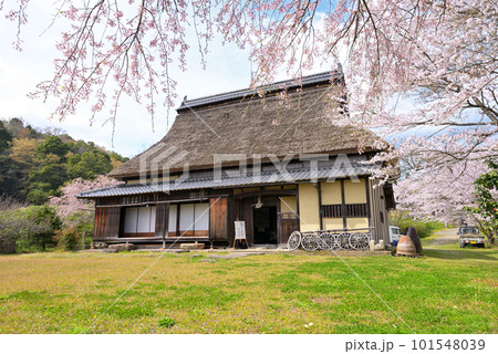 旧永島家住宅　春（京都府宮津市） 101548039