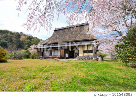 旧永島家住宅 春(京都府宮津市) 旧永島家住宅 春(京都府宮津市) 101548092
