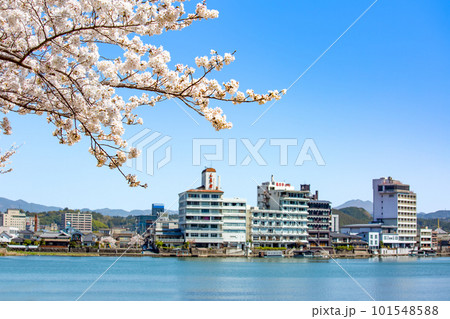 三隈川公園の満開の桜と日田の川沿いの風景 三隈川公園の満開の桜と日田の川沿いの風景 101548588