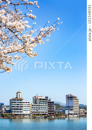 三隈川公園の満開の桜と日田の川沿いの風景 三隈川公園の満開の桜と日田の川沿いの風景 101548591