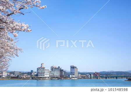 三隈川公園の満開の桜と日田の川沿いの風景 三隈川公園の満開の桜と日田の川沿いの風景 101548598