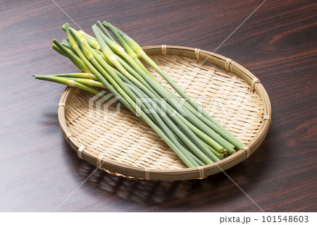 収穫された大蒜の芽　ザルに盛られたニンニクの芽　健康野菜　ニンニクの茎 101548603