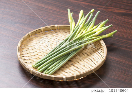 収穫された大蒜の芽　ザルに盛られたニンニクの芽　健康野菜　ニンニクの茎 101548604