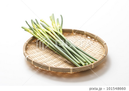 収穫された大蒜の芽　ザルに盛られたニンニクの芽　健康野菜　ニンニクの茎 101548660