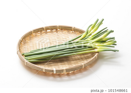 収穫された大蒜の芽　ザルに盛られたニンニクの芽　健康野菜　ニンニクの茎 101548661