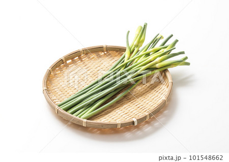 収穫された大蒜の芽　ザルに盛られたニンニクの芽　健康野菜　ニンニクの茎 101548662