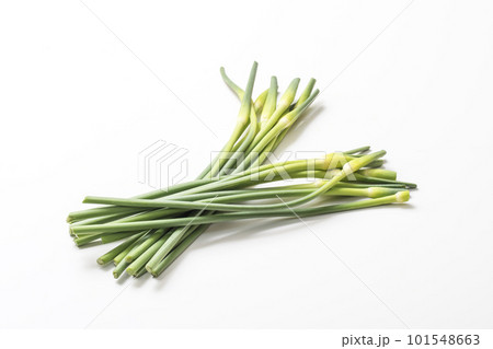 収穫された大蒜の芽　ザルに盛られたニンニクの芽　健康野菜　ニンニクの茎 101548663