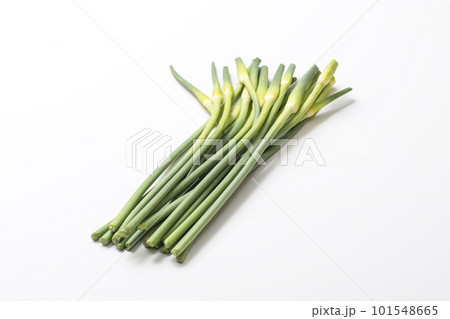 収穫された大蒜の芽　ザルに盛られたニンニクの芽　健康野菜　ニンニクの茎 101548665