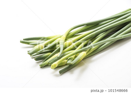収穫された大蒜の芽　ザルに盛られたニンニクの芽　健康野菜　ニンニクの茎 101548666