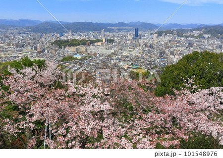 【広島県】黄金山の千本桜と広島都市風景 【広島県】黄金山の千本桜と広島都市風景 101548976