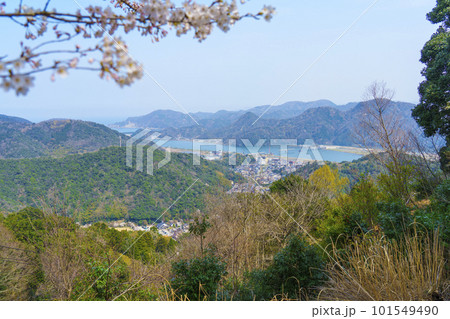 大師山山頂から城崎の街並みを望む　桜咲く季節 101549490