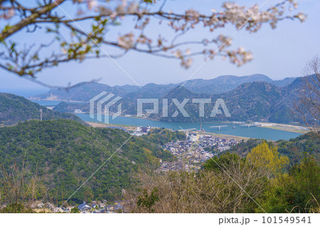 大師山山頂から城崎の街並みを望む　桜咲く季節 101549541