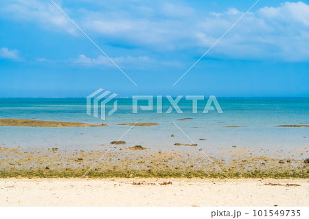 百名ビーチの海 百名ビーチの海 101549735