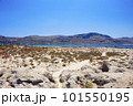 The island Gramvousa and the bay Balos 101550195