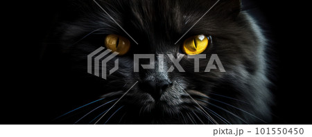 Intense yellow eyes of a mysterious black cat staring straight into the camera, making for a perfect Halloween poster. Is AI Generative. Intense yellow eyes of a mysterious black cat staring straight into the camera, making for a perfect Halloween poster. Is AI Generative. 101550450