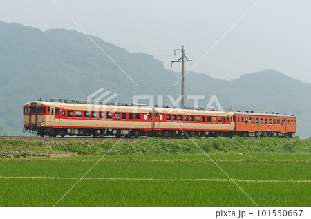 大糸線　根知ー小滝　JR西日本　キハ58-596+キハ28-2119+キハ52-156 101550667