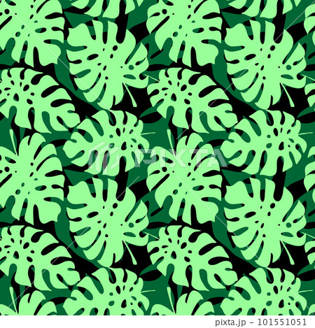 tropical leaves seamless black and green pattern, texture, background tropical leaves seamless black and green pattern, texture, background 101551051