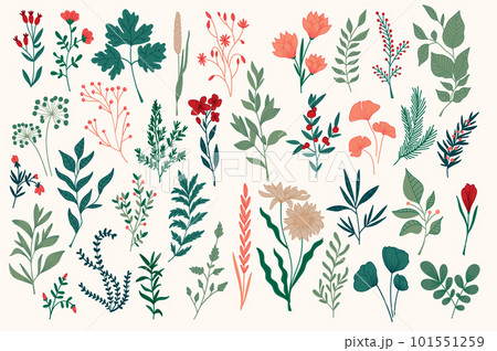 Hand drawn colorful botanical design pack. Perfect for Christmas holidays prints designs. Plants set in sketch style vector illustration. Leaves, wildflower, herbs ornament elements for Xmas postcard. 101551259
