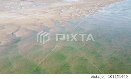 Wet beach sand at low tide, top view. Unusual sandy texture. 101551449