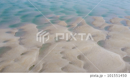 beach sand at low tide, top view. Unusual sandy texture. 101551450