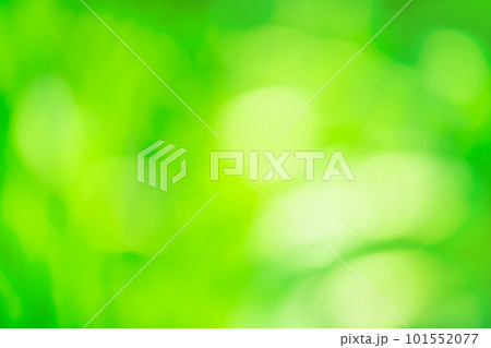 Blurry green unfocused photographic effect. Sparkling magical bright glow green bokeh Blurry green unfocused photographic effect. Sparkling magical bright glow green bokeh 101552077